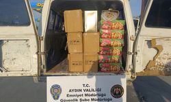 Aydın’da 580 litre sahte zeytinyağı ele geçirildi