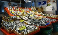 Tezhahlarda balık bolluğu sürüyor
