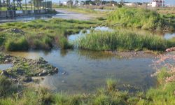 Balıkesir Burhaniye’de sağanak yağış hayatı felç etti