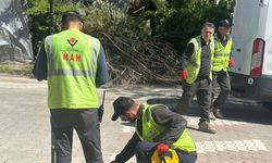 Balıkesir'de depreme dirençli kent için çalışmalar hızlandı