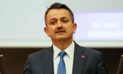Eski bakan Bekir Pakdemirli kimdir?