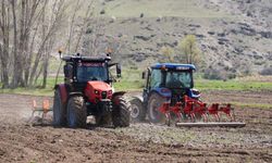 Kızılcahamam’da 40 yıl sonra pirinç üretimi yeniden başladı