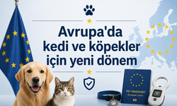 Avrupa'da kedi ve köpekler için yeni dönem