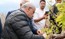 Darende’de dolu sonrası mahallelere ziyaret