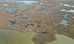 Eber Gölü’nde su seviyesi yükseldi