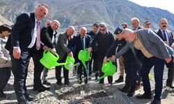 Butko zeytiniyle Artvin yeniden marka oluyor