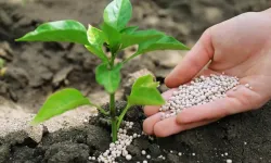 Gübre ithalatında vergi sıfırlandı