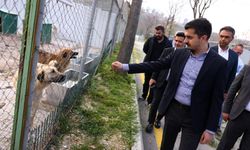 Çankaya’da bebek kütüphanesi ve park çalışmaları incelendi
