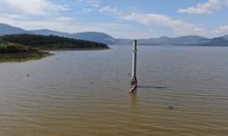 Prof. Dr. Doğan Yaşar: Önümüzdeki yıllar yağışlı geçecek