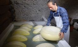 Gastronomi turizminin yeni adresi: Kars Peynir Müzesi