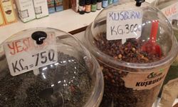 Aktarlarda propolis ve bitkisel takviyelere yoğun ilgi