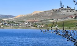 Kızılca Göleti yeniden hayat buldu