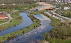 Kızılırmak Deltası baharla canlandı