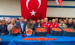 Manisa’da kiraz sezonu rekor fiyatla açıldı