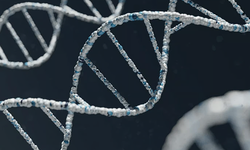 Metabolit nedir? Test sonuçlarında neden ortaya çıkar?