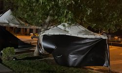 Osmaniye’de şiddetli fırtına hayatı felç etti