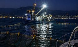 Gemlik Körfezi’nde sardalya sezonu başladı