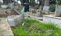 Sarıyer’de fırtına sonrası mezarlıkta ağaçlar devrildi