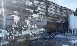 Ankara Sincan’da fabrikada yangın çıktı