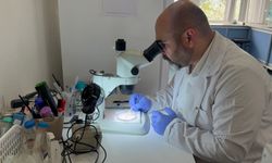 Prof. Dr. Adem Keskin: Bazı kene türleri soğuğa dayanıklı