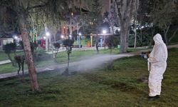 Çankaya’da sinek ve haşereye karşı gece ilaçlama