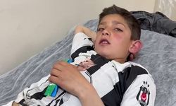 Erzurum’da ayıların saldırdığı çocuk kangal sayesinde kurtuldu