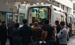 Beşiri’de yıldırım isabet eden çoban kurtarılamadı