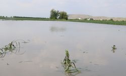 Kozan’da sağanak ve dolu tarımı vurdu