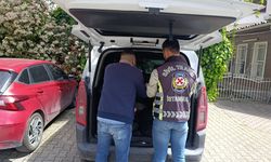 Fatih’te trafik magandasına ağır ceza kesildi