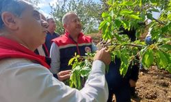 Aydın’da dolu sonrası tarım arazilerinde hasar tespiti yapıldı