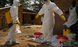 DSÖ’den Ebola salgını için acil durum kararı