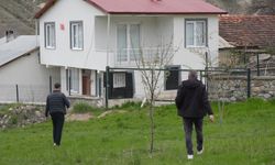 Gümüşhane Kale köyünde ayı tedirginliği yaşanıyor