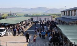 Gümüşoluk Kurban Pazarı’nda bayram mesaisi