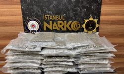 Kartal’da 58 kilo skunk ele geçirildi