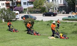 Çankaya’da yeşil alanlar yaza hazırlanıyor