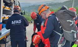 Sakarya Kocaali’de uçuruma yuvarlanan adam hayatını kaybetti