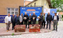 Samsun Büyükşehir’den üreticiye yüzde 50 hibeli kaz palazı