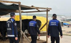 Sincan’da kurban pazarı denetimleri sıkılaştırıldı