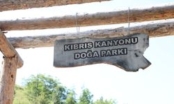Mamak’ta Kıbrıs Kanyonu için çevre temizliği
