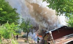 Yayla evinde çıkan yangın ormana sıçradı