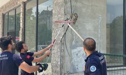 İş yerine giren yılan paniğe neden oldu