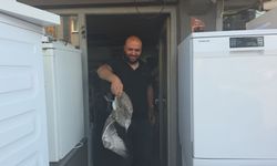 Martı yavrusu beyaz eşya tamirci dükkanına daldı