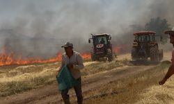 Mardin Mazıdağı’nda tarla yangını zor anlar yaşattı