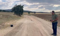 Eskişehir'de kaybolan inek dron ile aranıyor