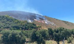 Hatay'da korkutan orman yangını