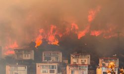 İzmir'de alevler ormana sıçradı! 7 uçak ve 8 helikopterle müdahale