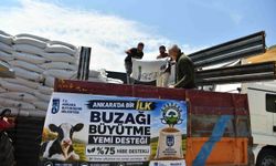ABB’den üreticilere buzağı büyütme yemi desteği