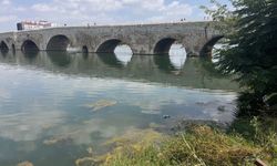 Seyhan Nehri’nde çevre kirliliği tepki çekiyor