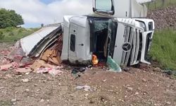 Amasya’da tavuk yüklü tır şarampole devrildi