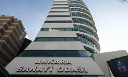 ASO iş birliğiyle öğrenciler Hollanda’da staj yaptı
